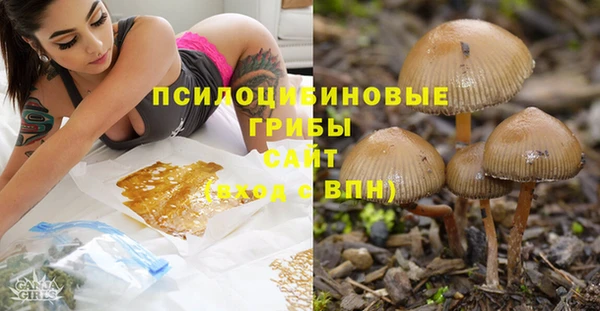 винт Бугульма