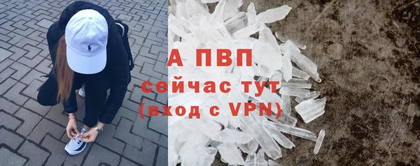таблы Бородино