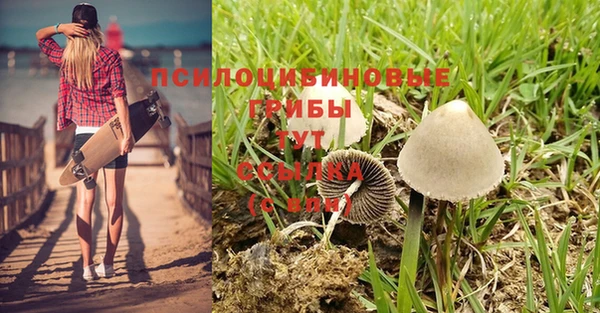 таблы Бородино