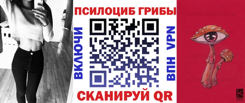 где можно купить наркотик  Кушва  Галлюциногенные грибы Psilocybe 