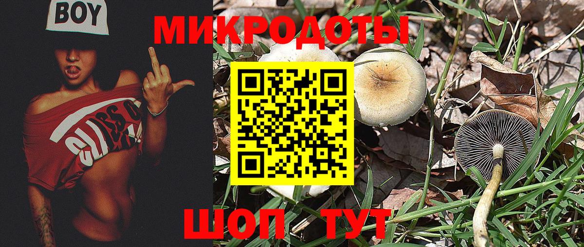 Псилоцибиновые грибы ЛСД Кушва