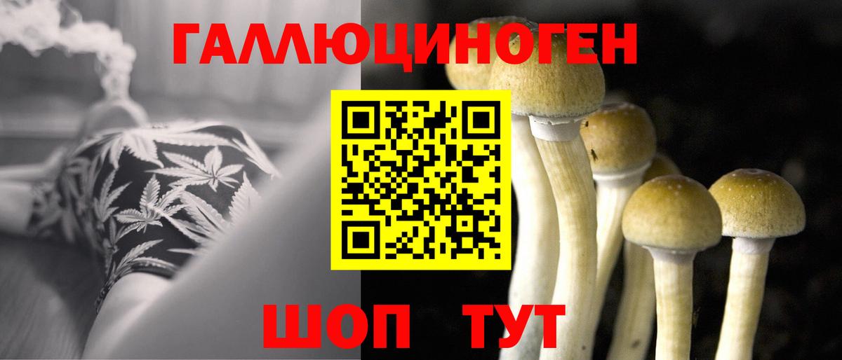 Галлюциногенные грибы Psilocybine cubensis  Вход с VPN  Кушва 